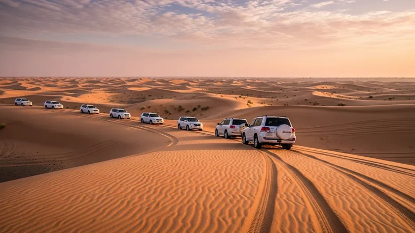 Morning Desert Safari