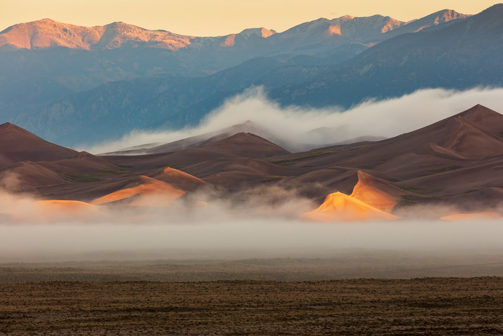 Morning Desert Safari