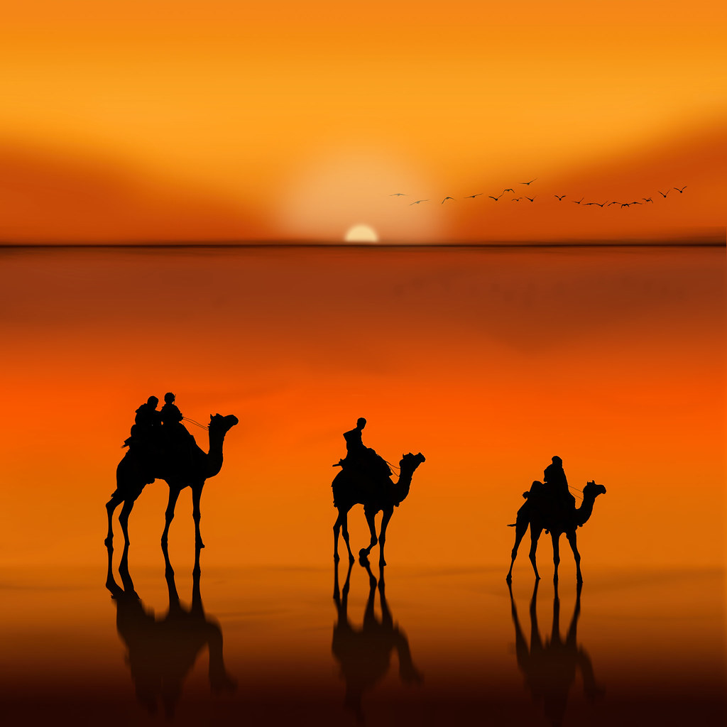 Sunset camel caravan silhouette in Dubai desert safari